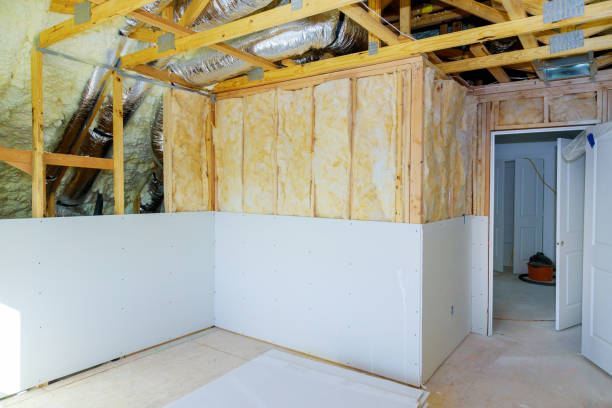 Best DIY Insulation Kits and Guidance in Beardstown, IL