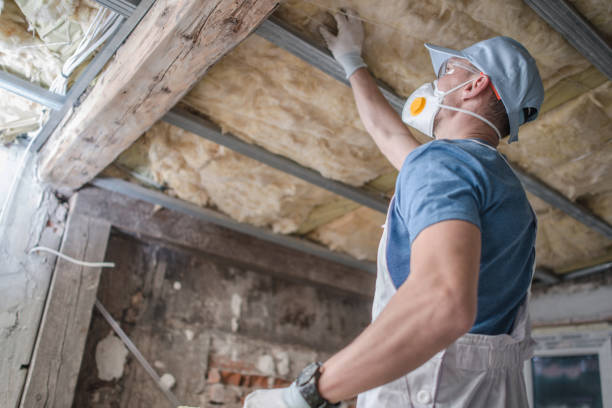 Best Geographic-Specific Insulation Services in Beardstown, IL