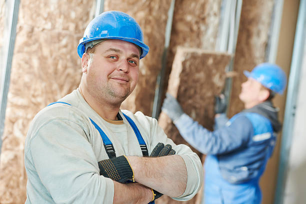 Best Energy Efficiency Insulation in Beardstown, IL
